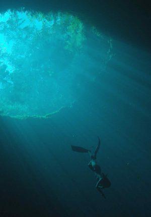 diving300x430